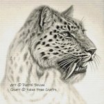 (image for) Sabre Tooth